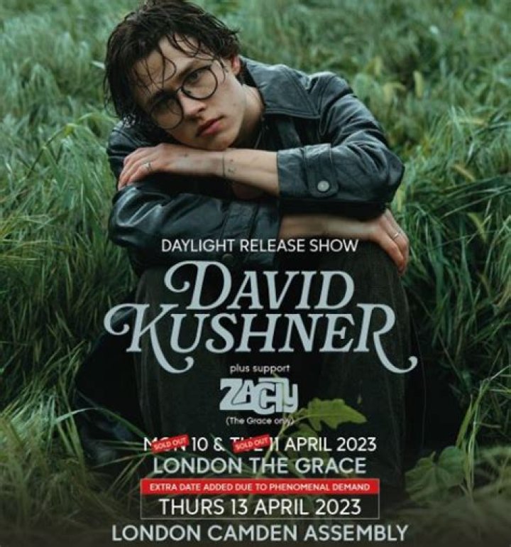 David Kushner Net Worth: A Deep Dive into the Rising Star&rsquo;s Wealth