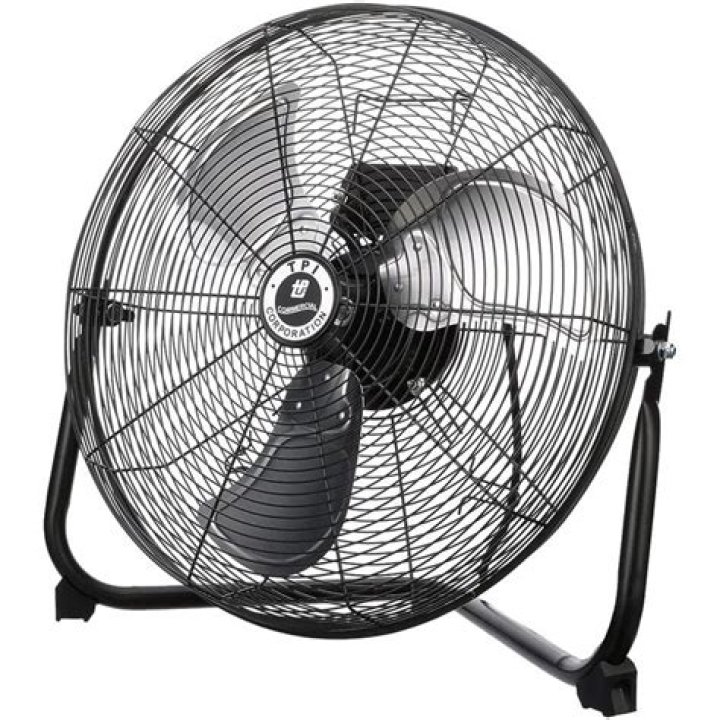 The Fascinating World of Fans: Understanding Their Culture and Impact