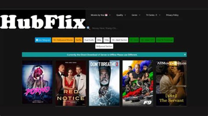 Exploring the World of Hubflix S: Your Ultimate Guide