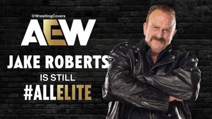 Jake Roberts' AEW Salary: A Comprehensive Breakdown