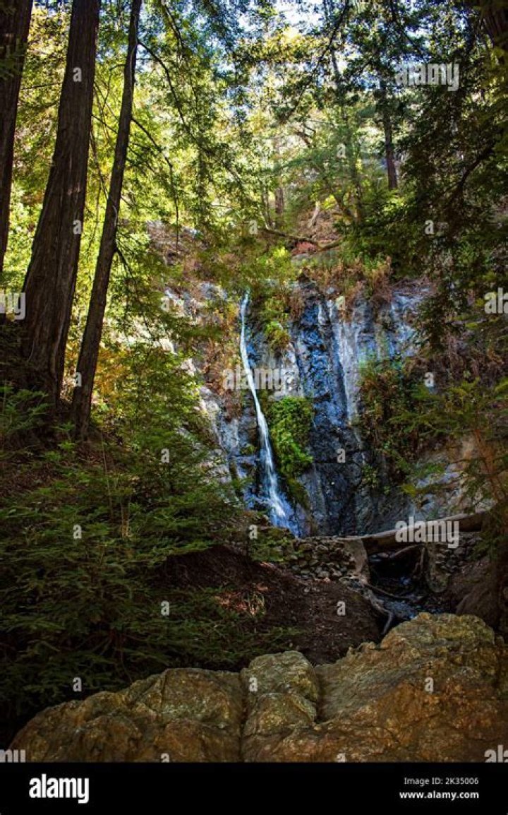 Discovering the Beauty of Messy Big Sur State Park