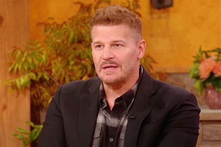 David Boreanaz Net Worth: A Deep Dive into the Actor's Wealth, Career, and Legacy