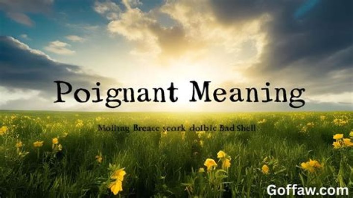 Understanding Poignant Meaning: A Deep Dive into Emotions and Connections