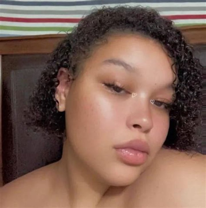 Portiae Rossi: Uncovering the Mystery of the Rare and Enchanting Tarantula