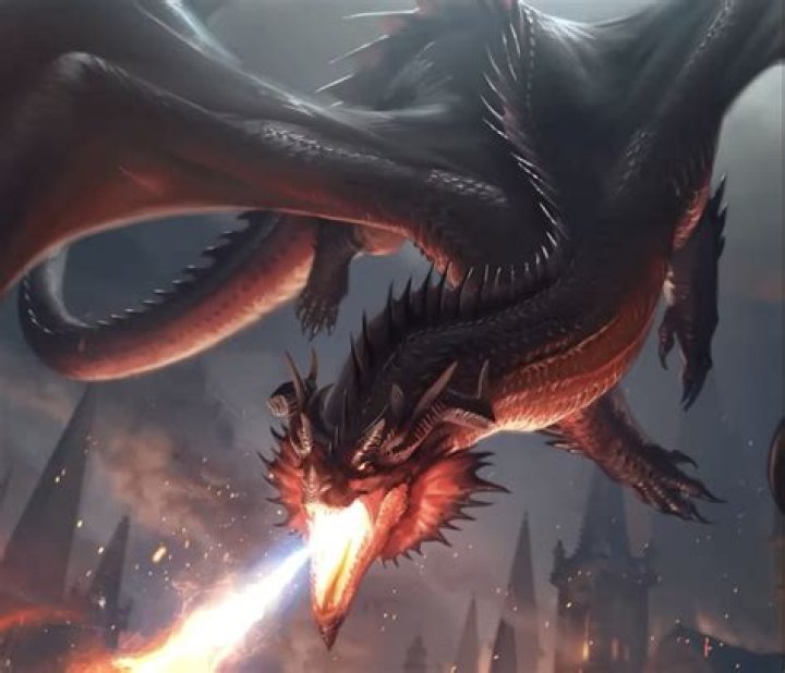 Red Dragon 2024: The Future of Space Exploration