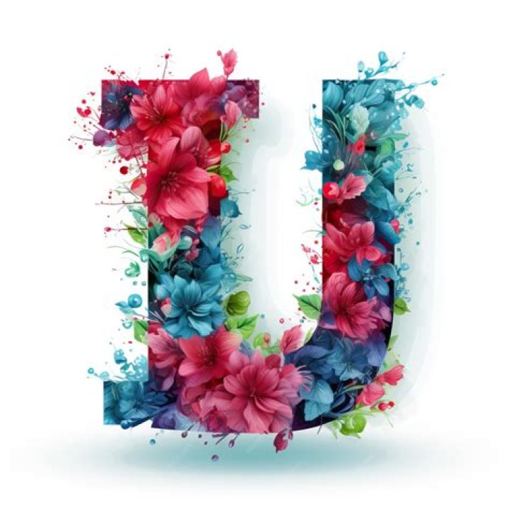 Understanding the Importance of User Experience (UX) in Digital Design