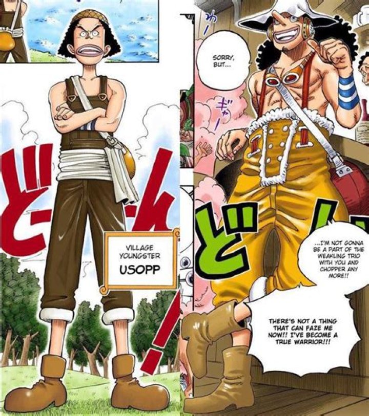 Usopp Time Ship: The Journey of the Straw Hat Pirates' Sniper