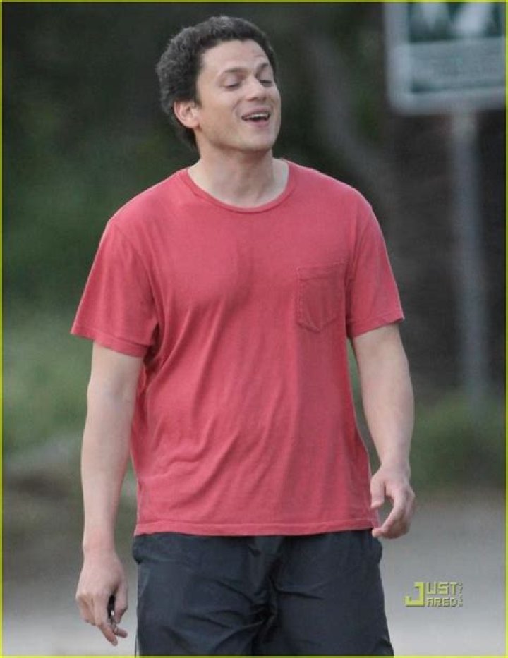 Who is Wentworth Miller's Son: A Biography and Details